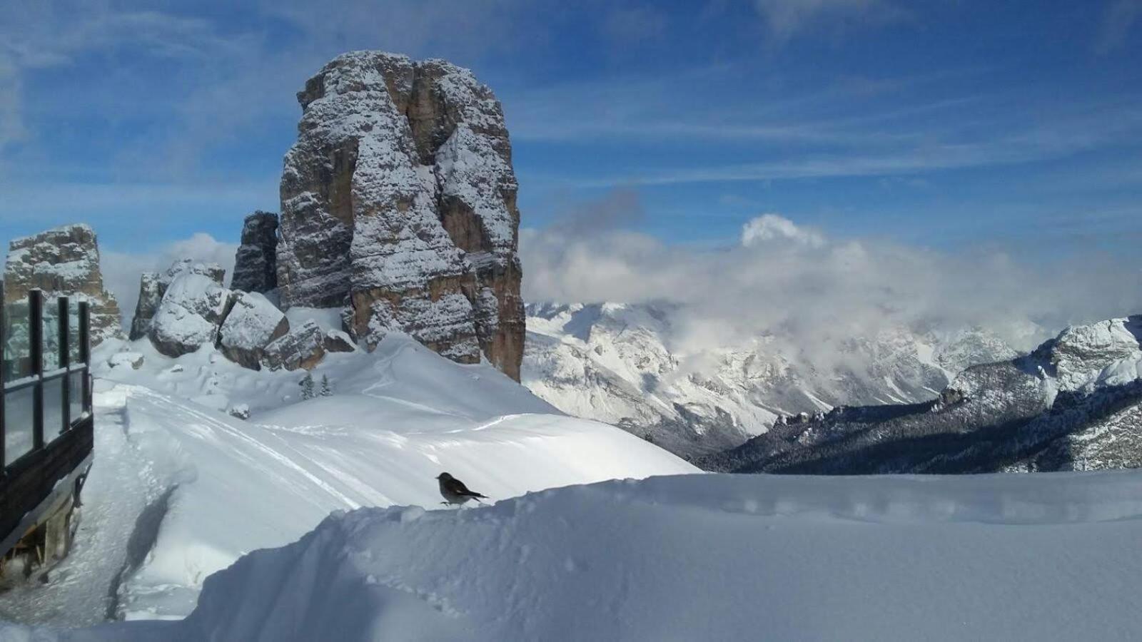 Casa Elena Διαμέρισμα Pieve di Cadore Εξωτερικό φωτογραφία