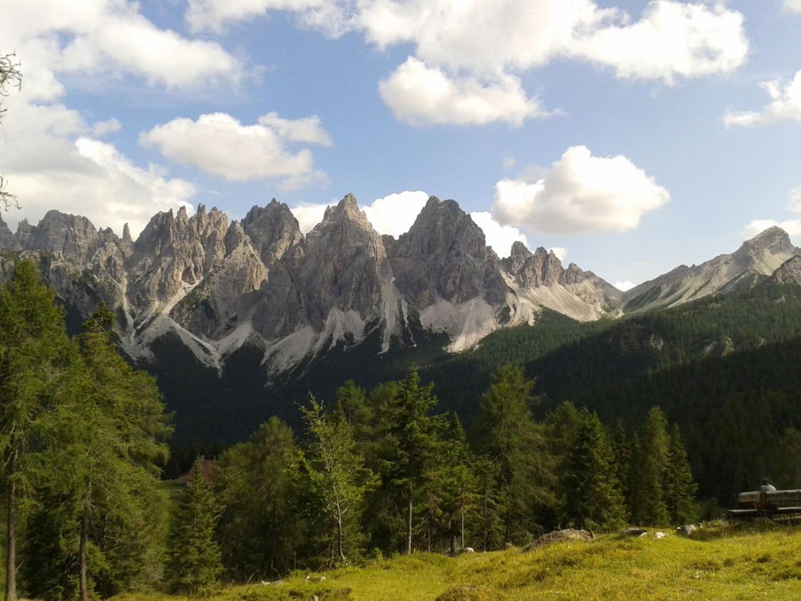 Casa Elena Διαμέρισμα Pieve di Cadore Εξωτερικό φωτογραφία