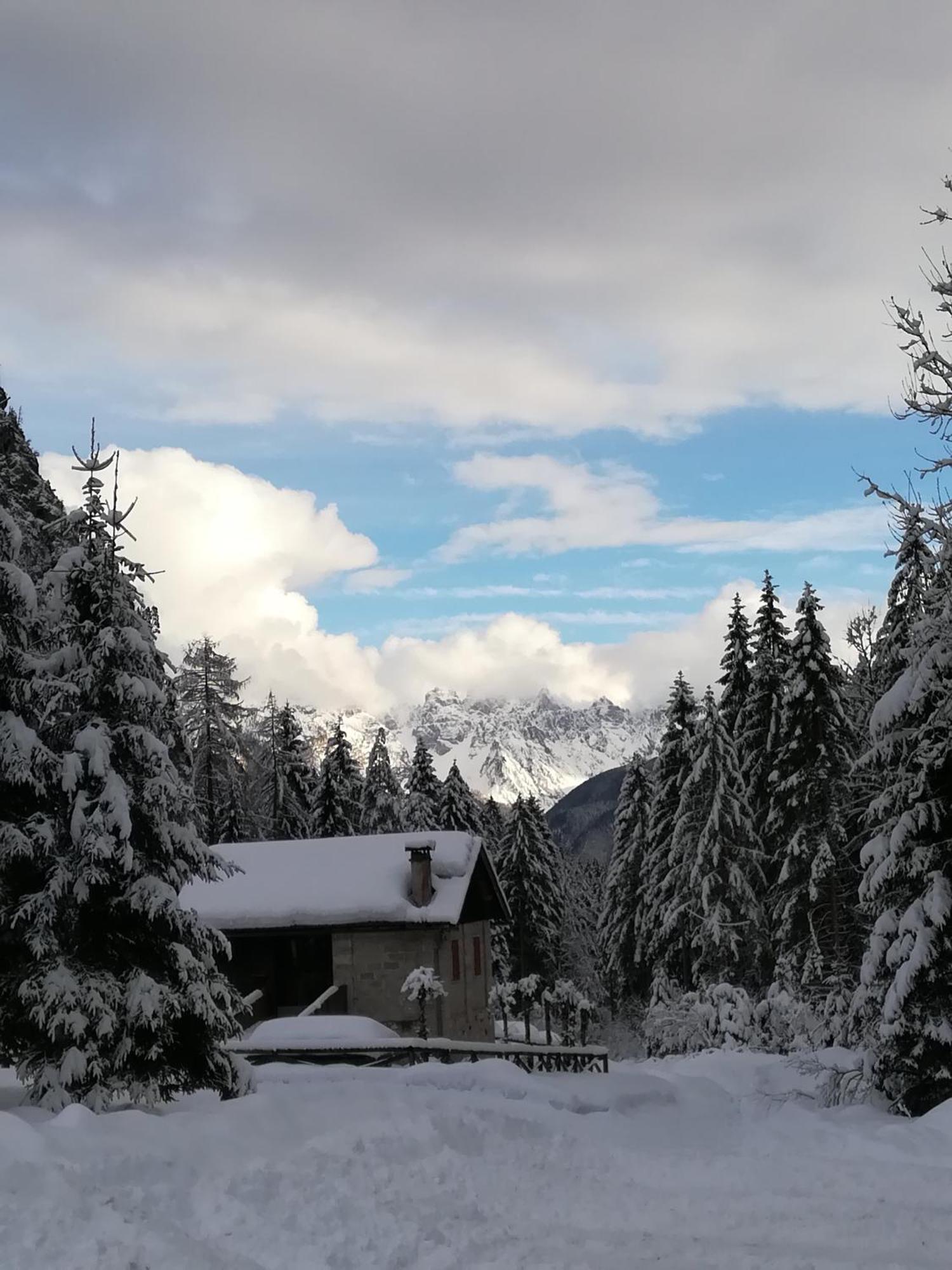 Casa Elena Διαμέρισμα Pieve di Cadore Εξωτερικό φωτογραφία