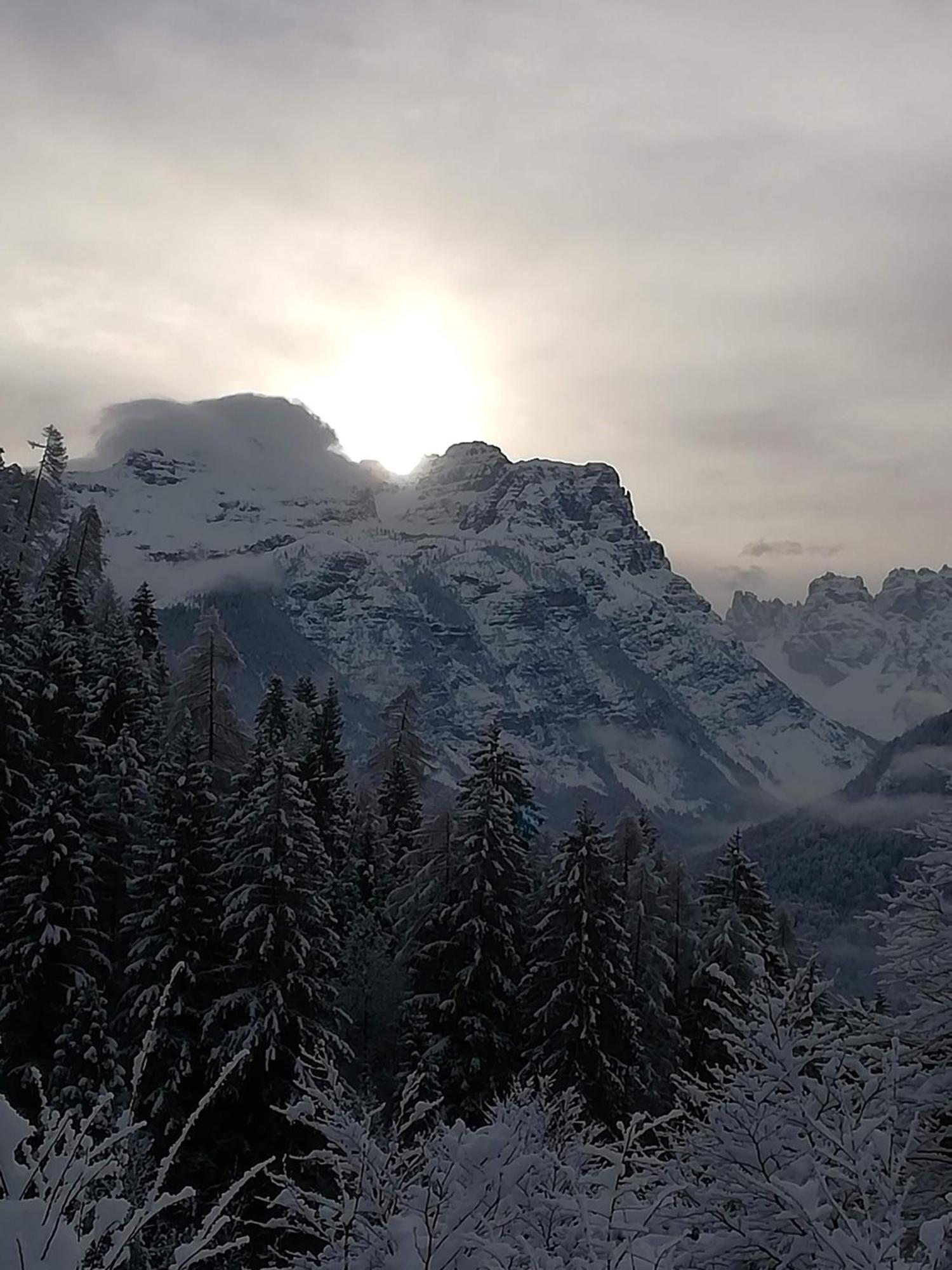 Casa Elena Διαμέρισμα Pieve di Cadore Εξωτερικό φωτογραφία