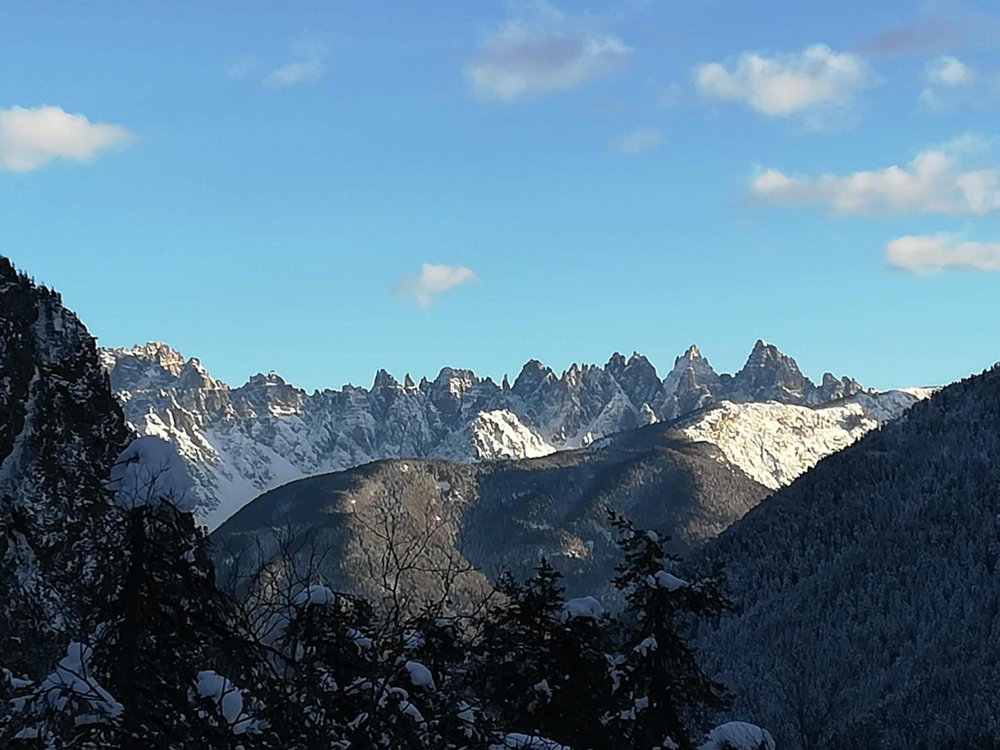 Casa Elena Διαμέρισμα Pieve di Cadore Εξωτερικό φωτογραφία